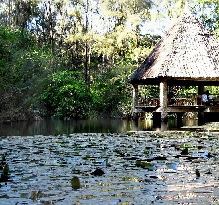 Butterfly Pavilion