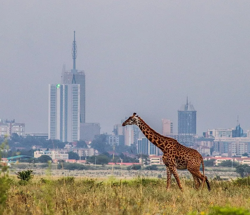 nairobi national park
