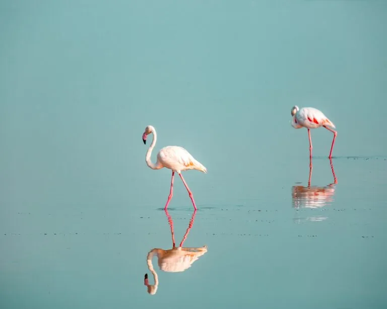 Lakes in Kenya