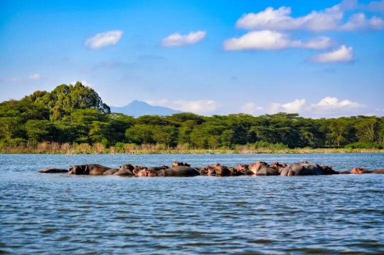 Lake Nakuru