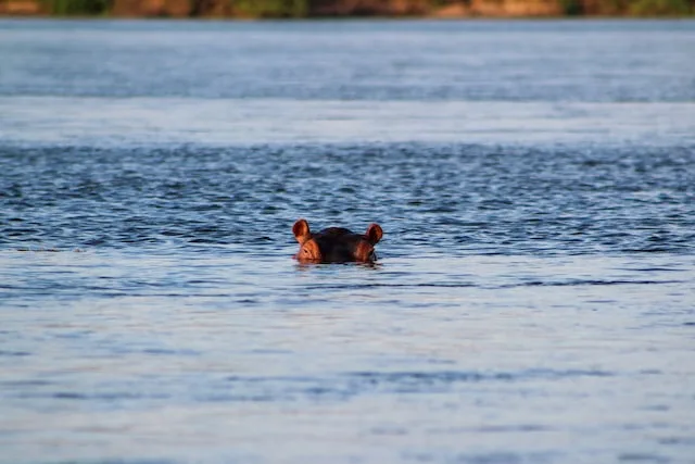Tana River