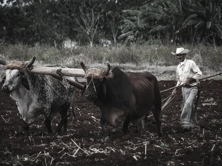 exploring kenyan culture and traditions
