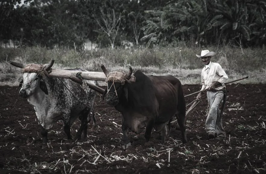 exploring kenyan culture and traditions